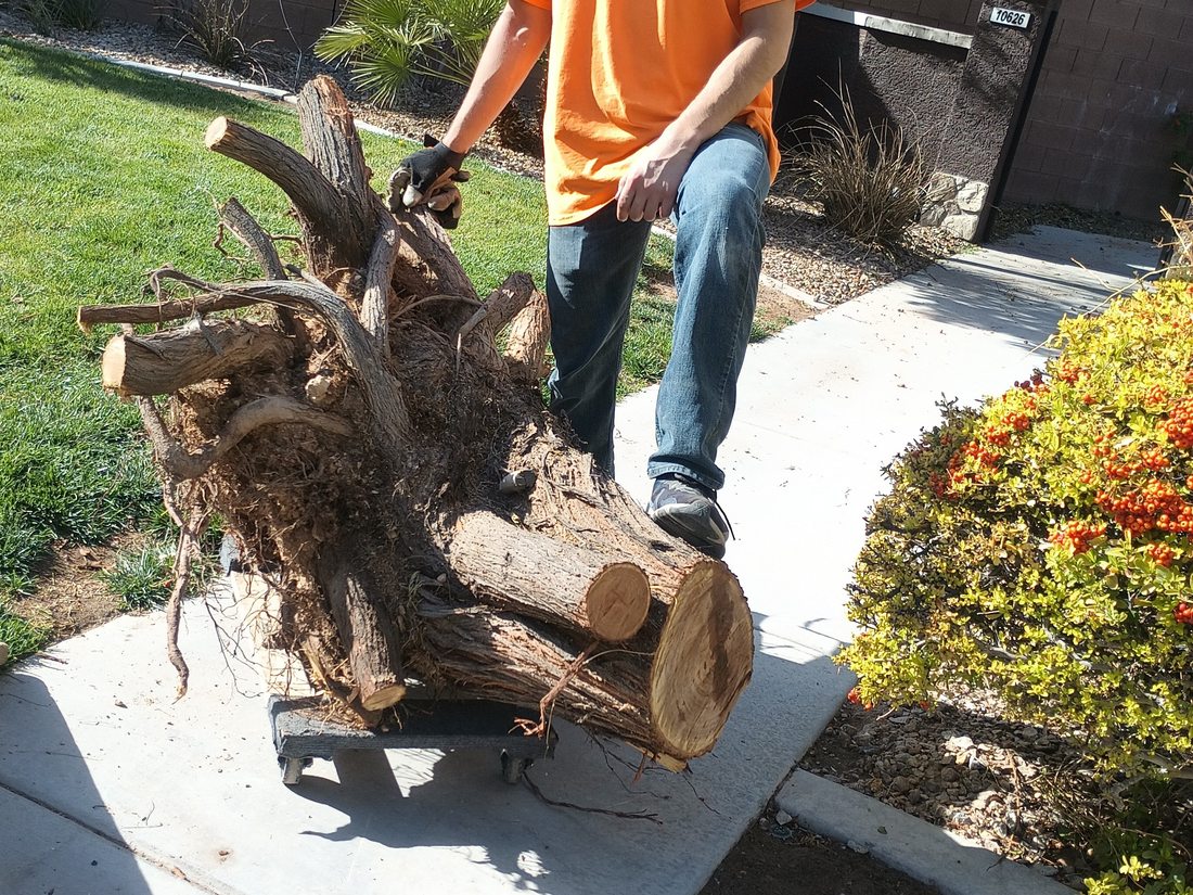 Affordable Junk Removal carrying a cut tree stump off a customer's front yard